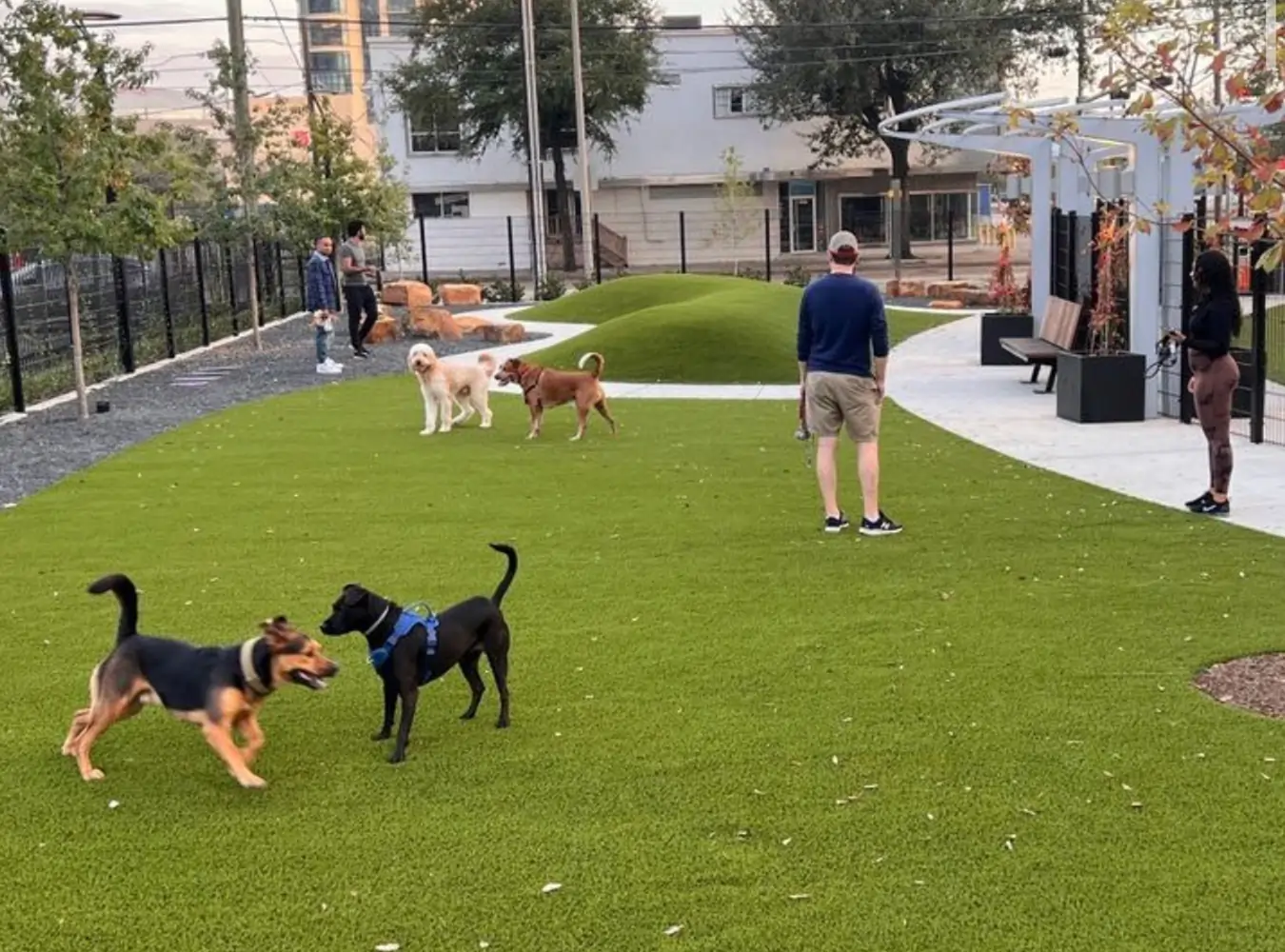 Artificial grass dog park installed by SYNLawn