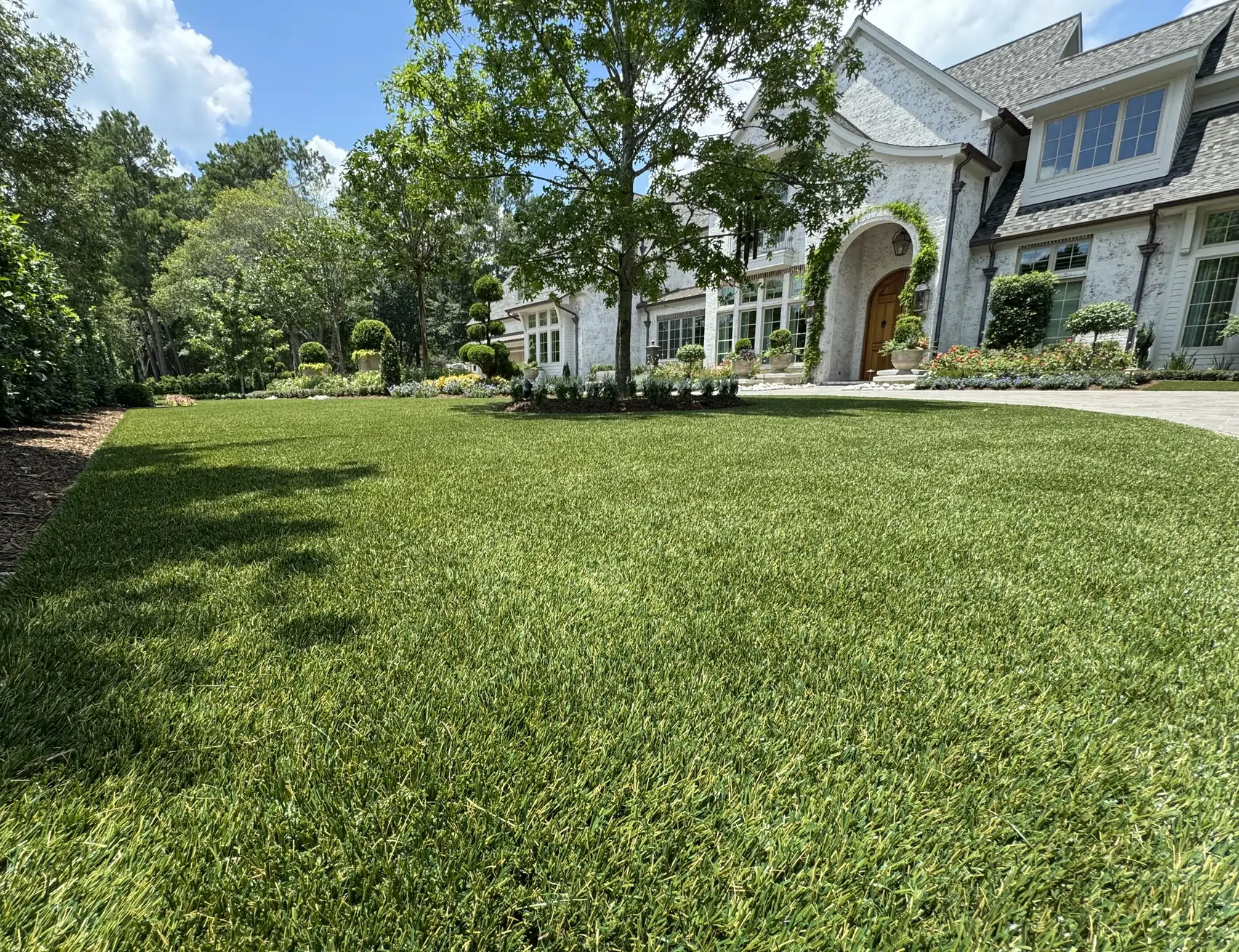 SYNLawn Bay Area Artificial Turf Lawn