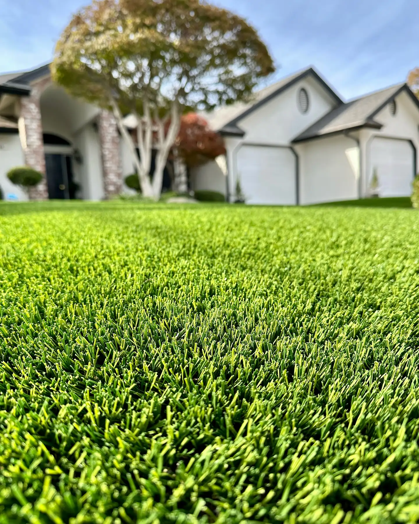 synlawn bay area artificial turf front lawn