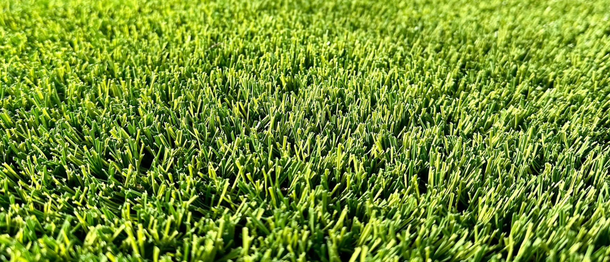 Bay area artificial turf synlawn
