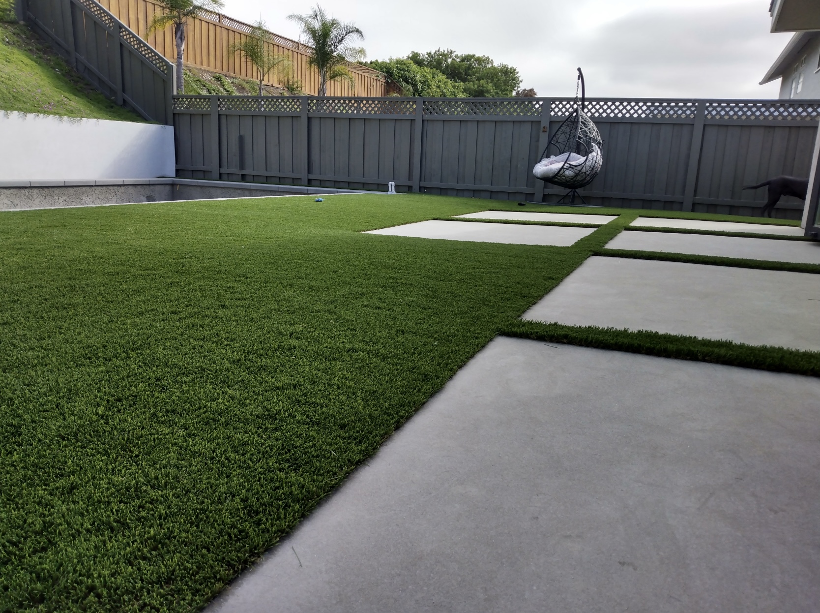 Bay Area Residential artificial turf